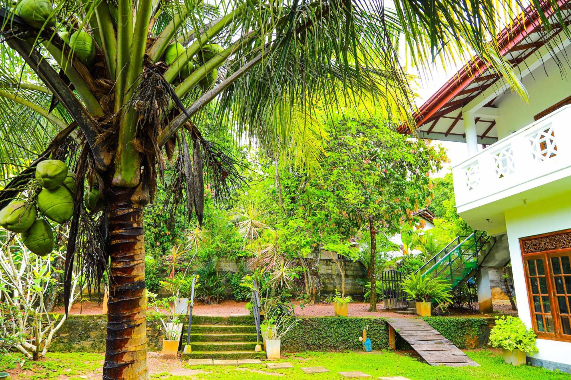 Dil'S Place Beruwala Luaran gambar