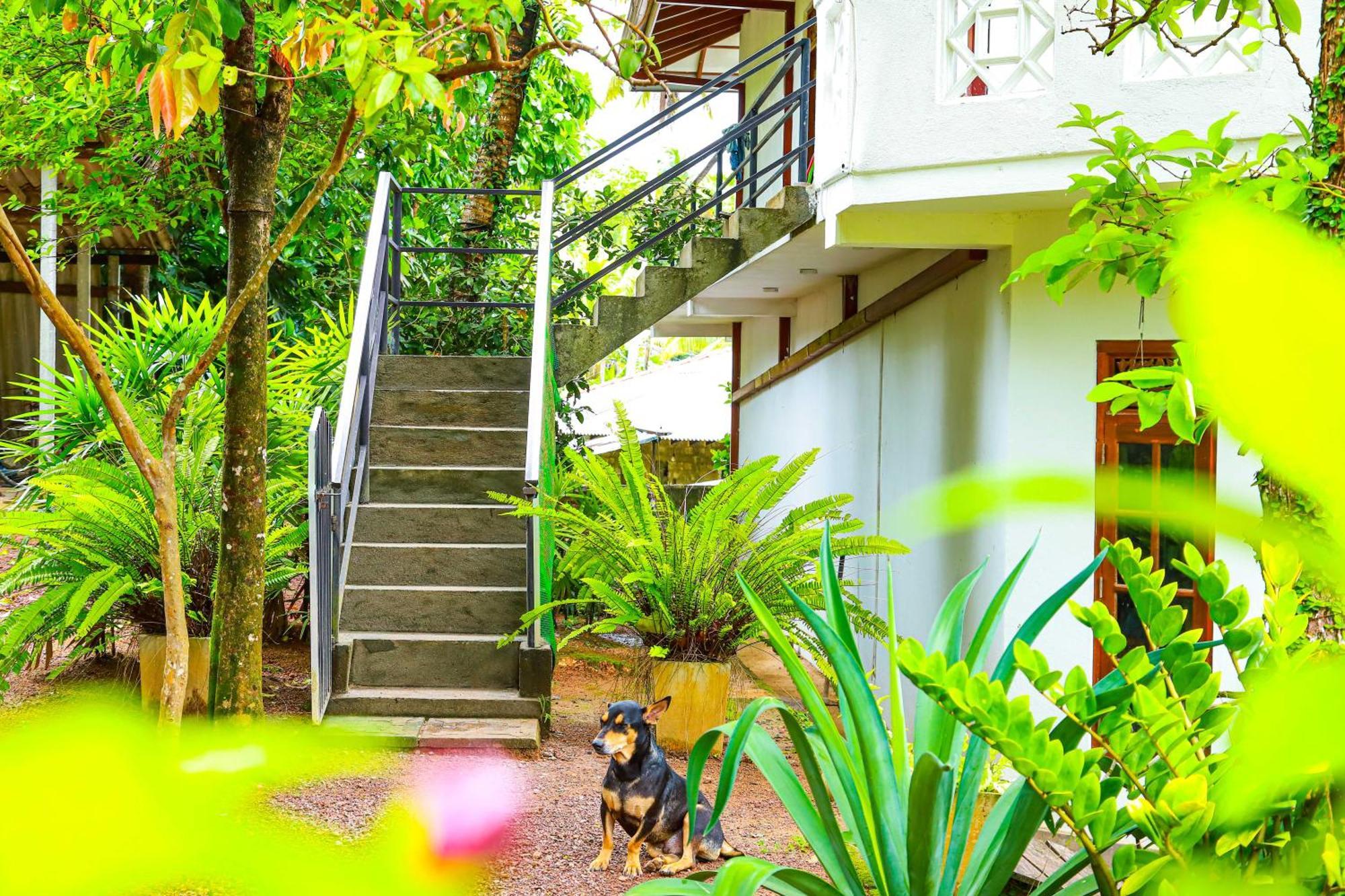 Dil'S Place Beruwala Luaran gambar